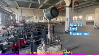 Thermal Mass Gas Flow Meter