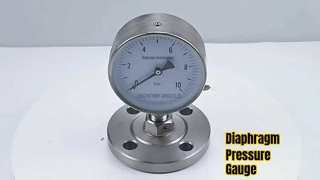 Diaphragm Pressure Gauge Industrial Gauge for Food & Beverage and Oil & Gas