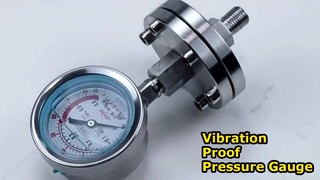 Stainless Steel Shock-proof Pressure Gauge